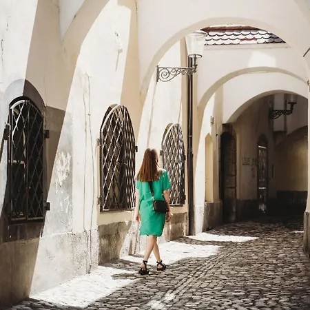 Romantic Jump Overlooking River, Free Parking Apartman Ljubljana