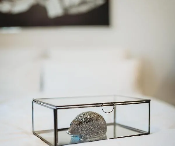 Romantic Jump Overlooking River, Free Parking 아파트 류블랴나